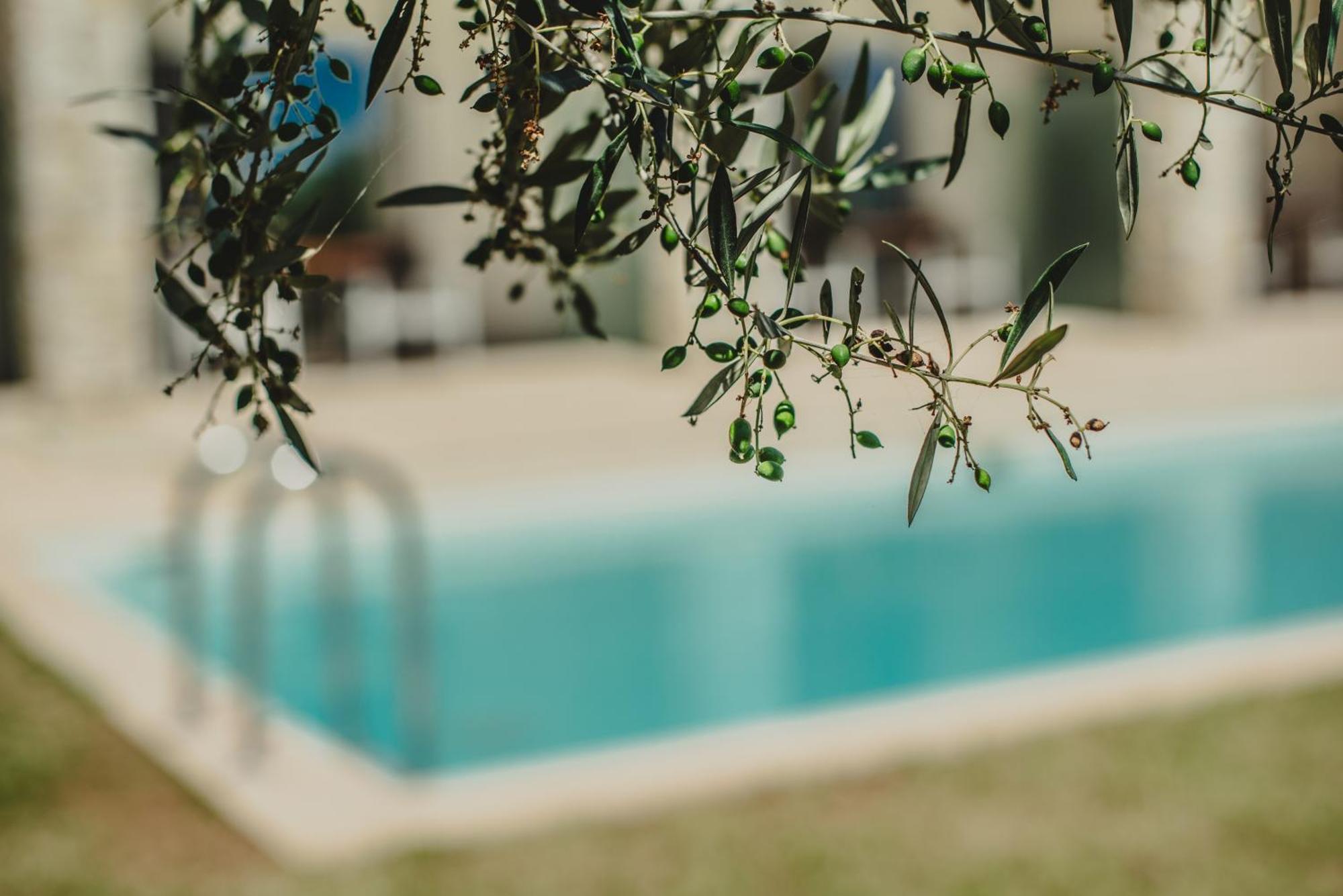 Camvillia Messinia Hotel 5*