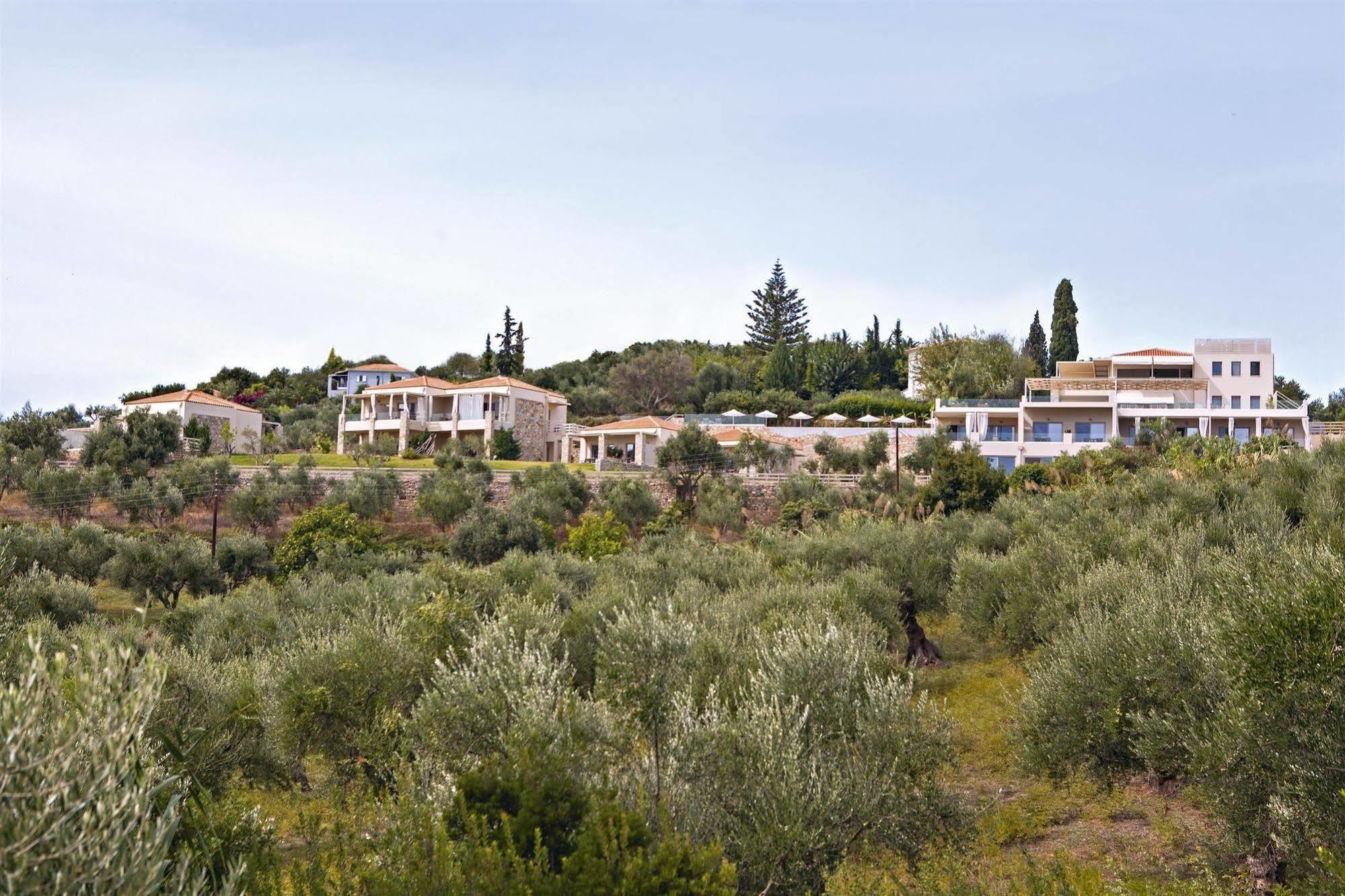 Camvillia Messinia
