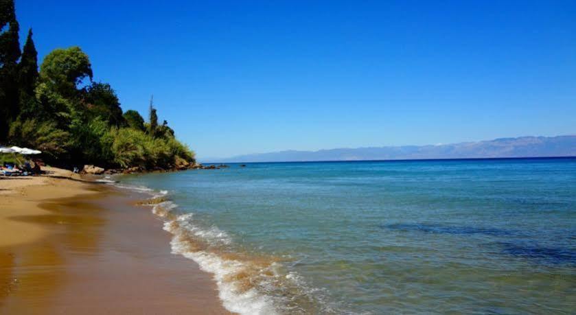 Camvillia Messinia